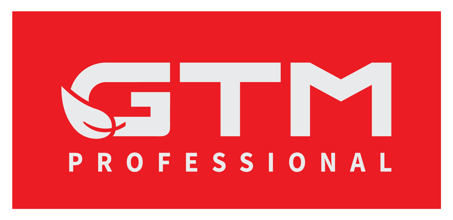 GTM Professional